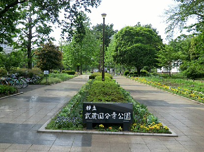 周辺画像5