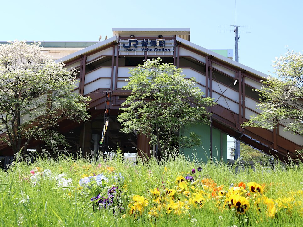 南武線『谷保』駅　徒歩3分　建築条件なし宅地分譲（全2区画） 周辺画像5