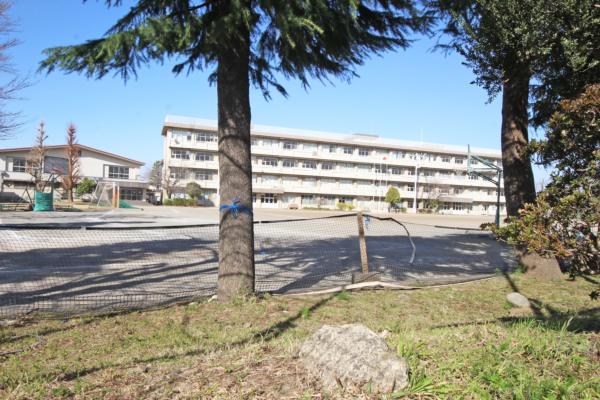 日神パレステージ立川 901号室 周辺画像7