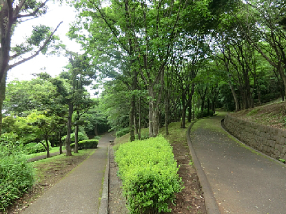 多摩市乞田　宅地3 周辺画像10