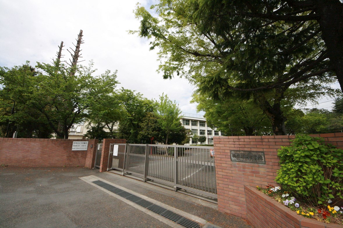 グランツ拝島セントラルステージ 周辺画像3