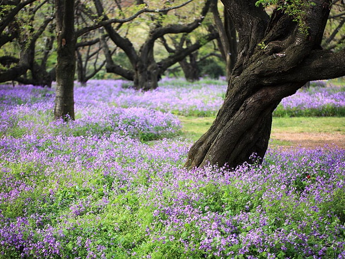 立川市錦町5期2号棟 周辺画像7