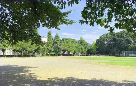 府中市西原町4丁目  周辺画像7