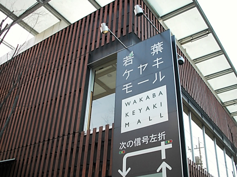 立川市若葉町　【外内装フルリフォーム新築のような中古戸建て】 周辺画像4