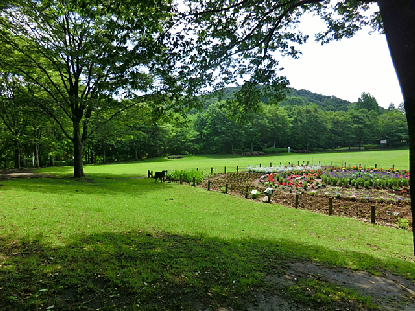 多摩市連光寺3丁目　中古戸建 周辺画像4