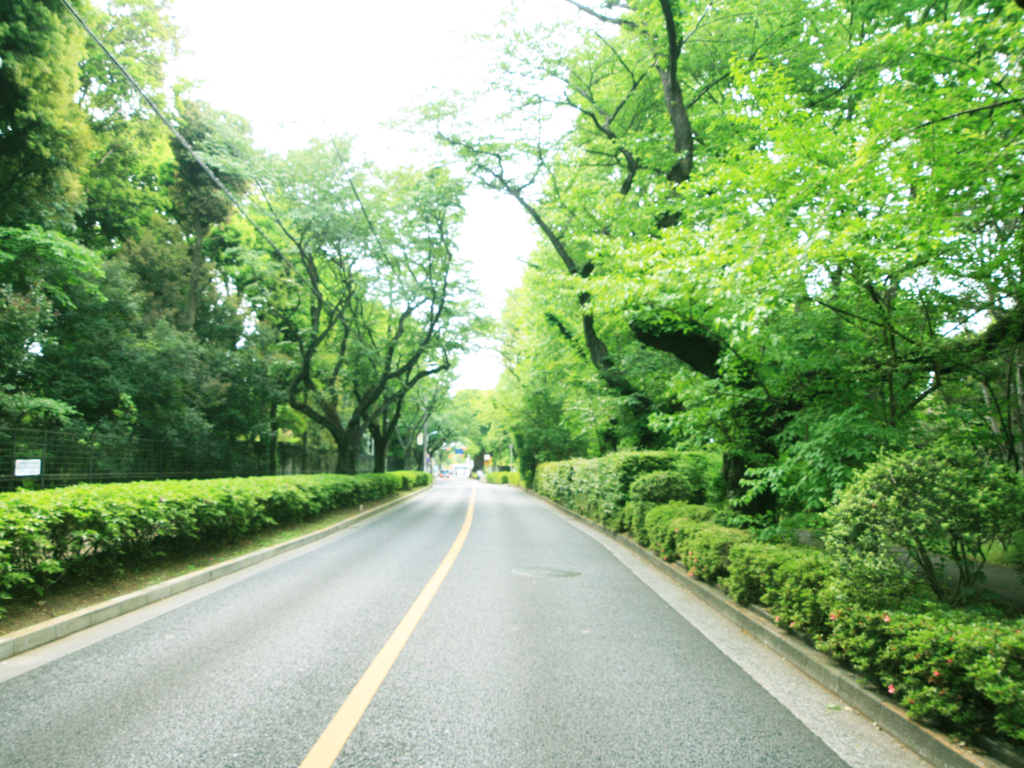 深大寺南町の家 周辺画像4