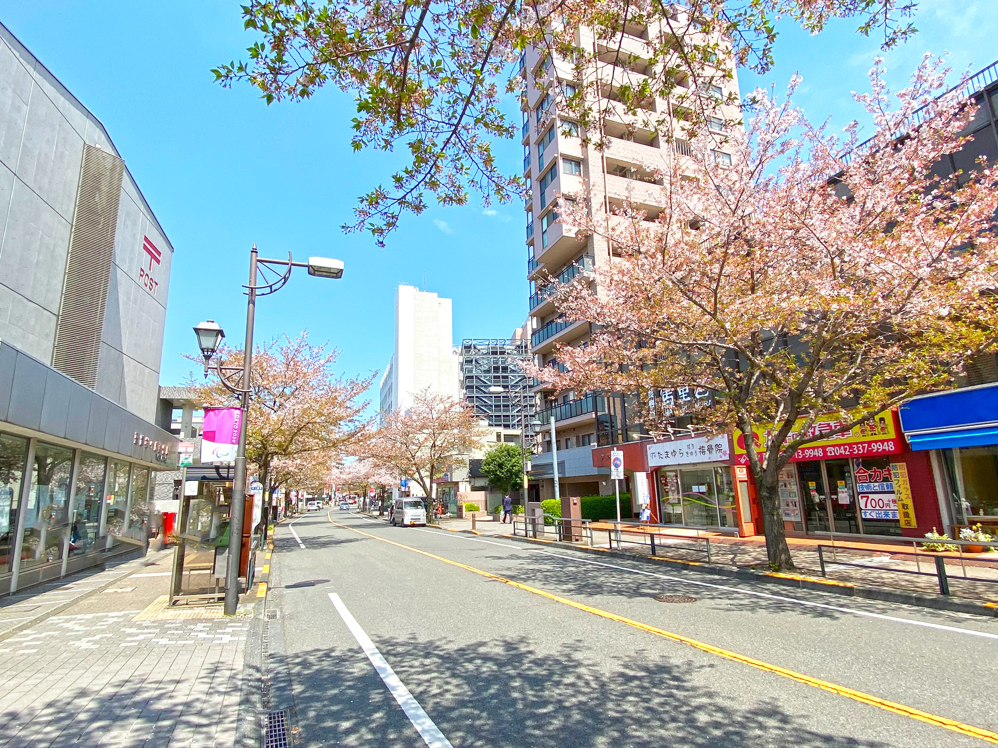多摩市一ノ宮　新築戸建 周辺画像5