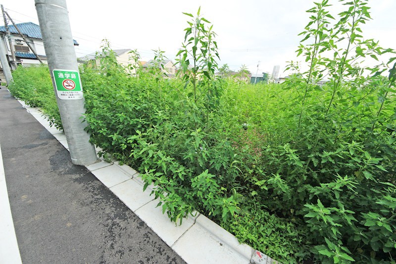 調布市佐須町5丁目　新築戸建　2-B号棟 外観写真