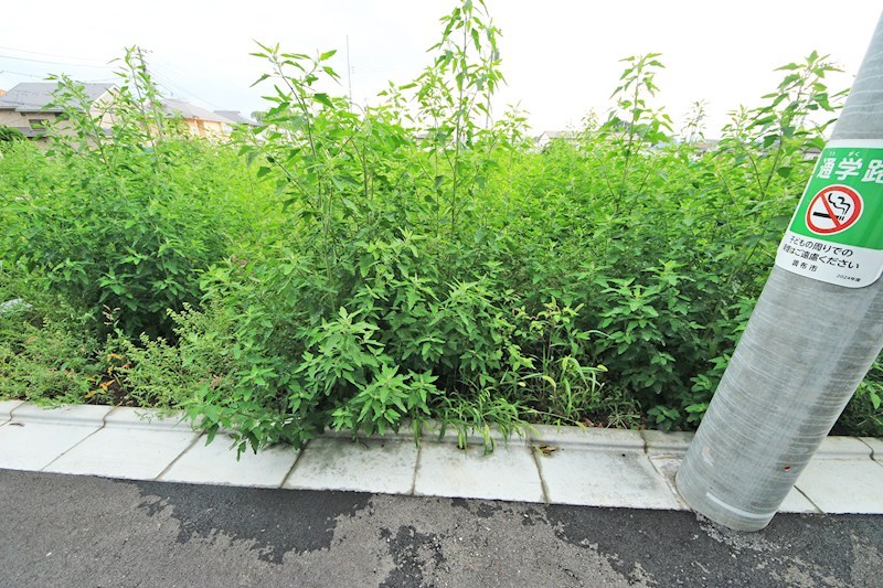 調布市佐須町5丁目　新築戸建　2-B号棟 その他