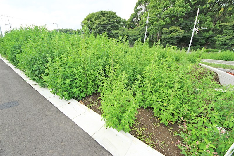 調布市佐須町5丁目　新築戸建　2-E号棟 その他