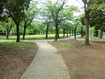 多摩市落合　建築条件付売地　宅地２ 周辺画像7