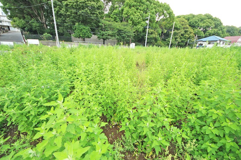 調布市佐須町5丁目（2期）　新築戸建　1-F号棟 その他
