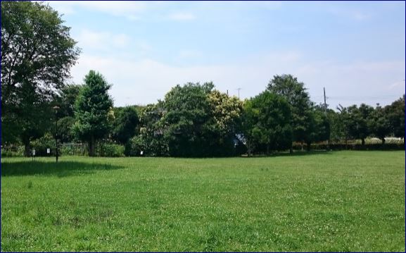 昭島市美堀町　中古戸建 周辺画像1