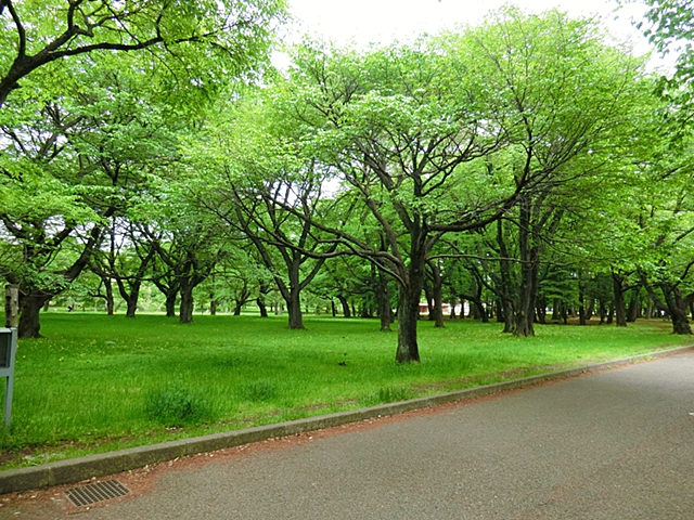 武蔵野市桜堤３丁目　5期【2号棟】　～太陽光発電標準装備◎耐震・制震安心の住まい～ 公園