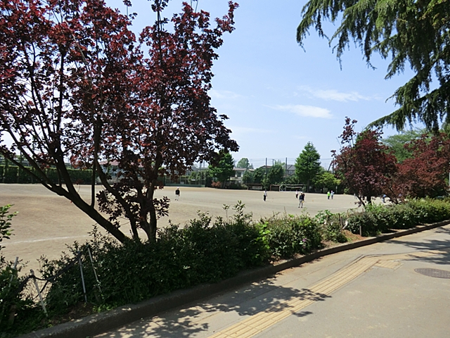 小金井市桜町～建築条件なし売地～ 周辺画像4
