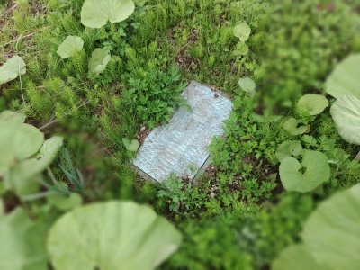北園1丁目土地 その他