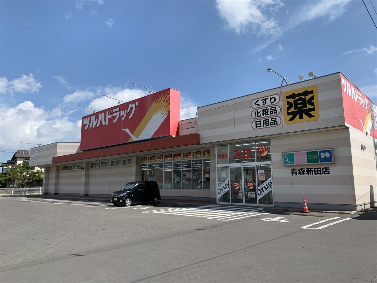 新城山田売地 ドラッグストア