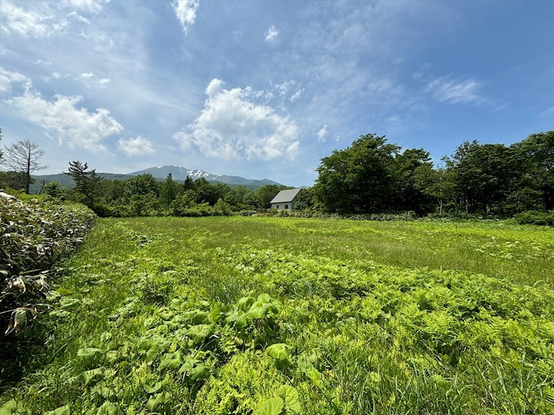 駒込深沢売地Ｂ 現地写真