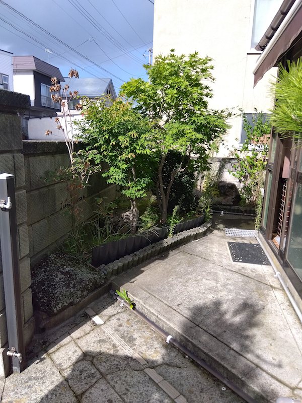 浜の町東２丁目中古住宅 現地写真（庭）