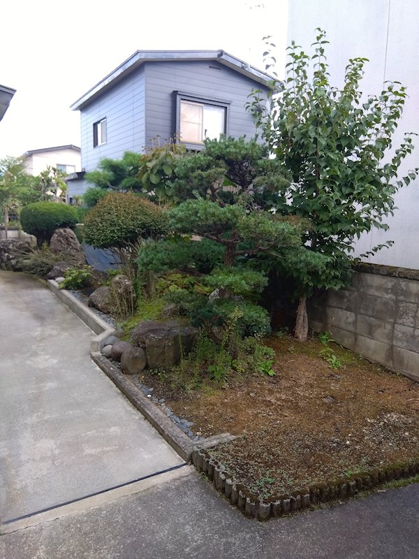 浜の町東２丁目中古住宅 現地写真（庭）