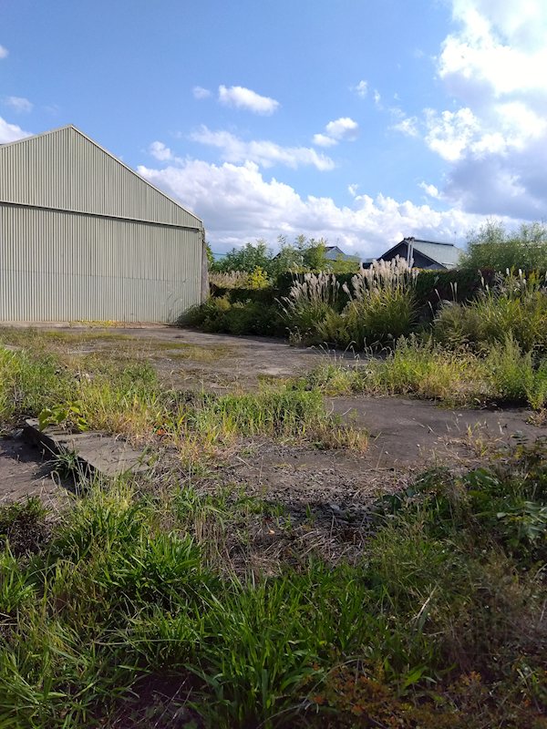 ■商談中　藤崎武元売地 現地写真