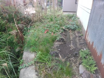 弘前市稔町5番23土地 その他