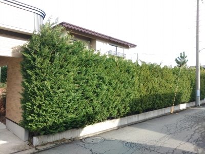 中野4丁目中古住宅 その他