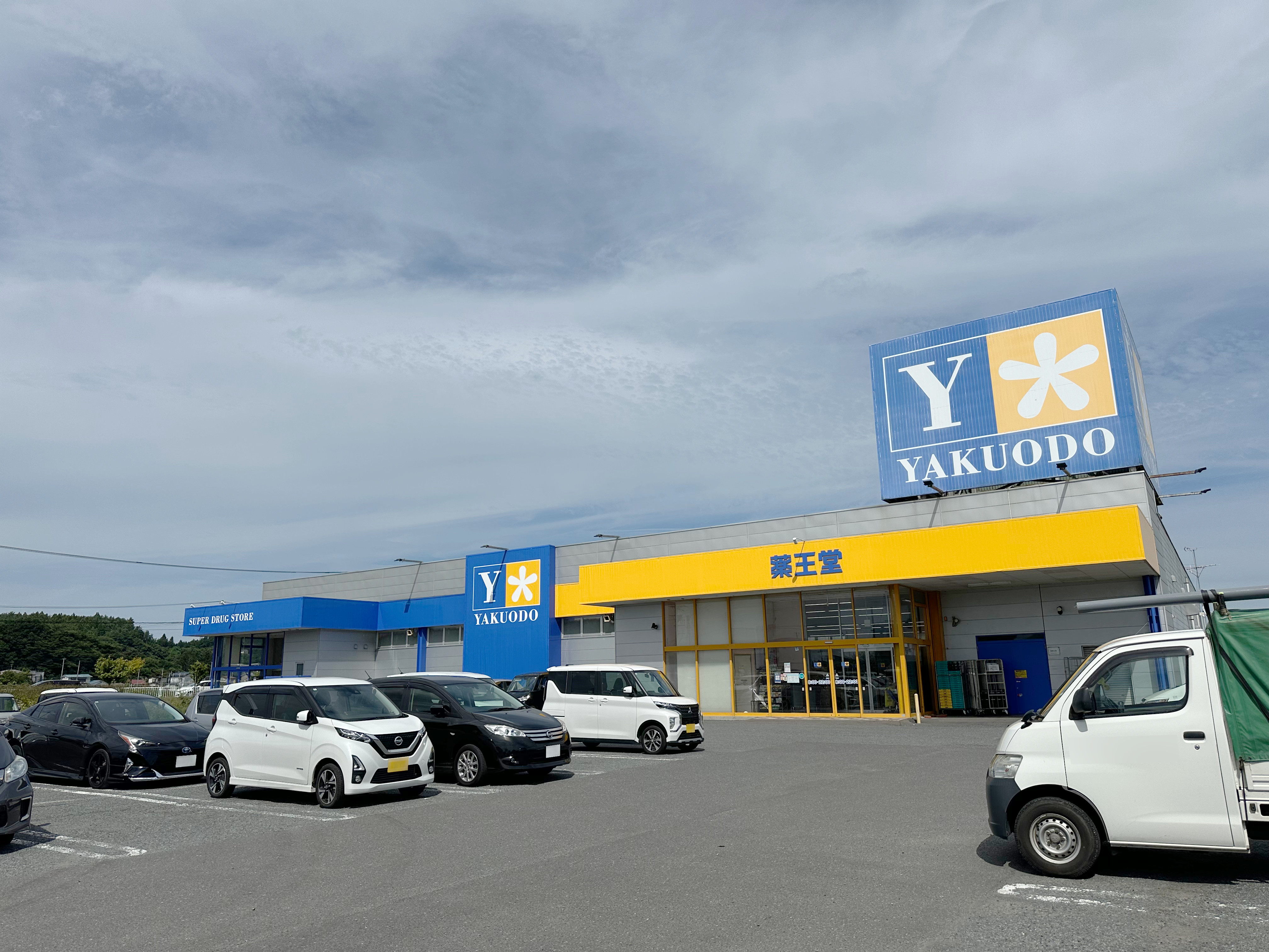 青森県八戸市尻内町根市内矢沢 ドラッグストア