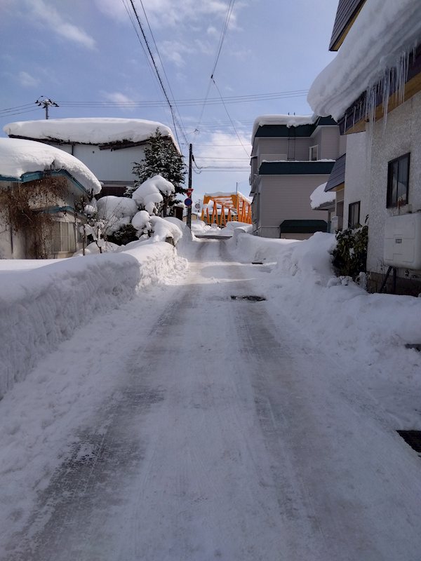 大鰐字前田土地 現地写真（前面道路含む現地写真）