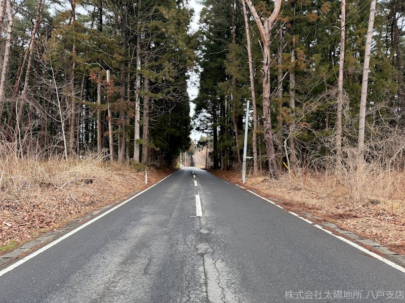 三戸郡階上町大字道仏字大蛇長根　売土地 現地写真（前面道路含む現地写真）