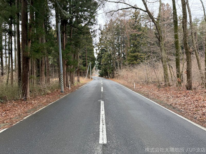 三戸郡階上町大字道仏字大蛇長根　売土地 現地写真（前面道路含む現地写真）