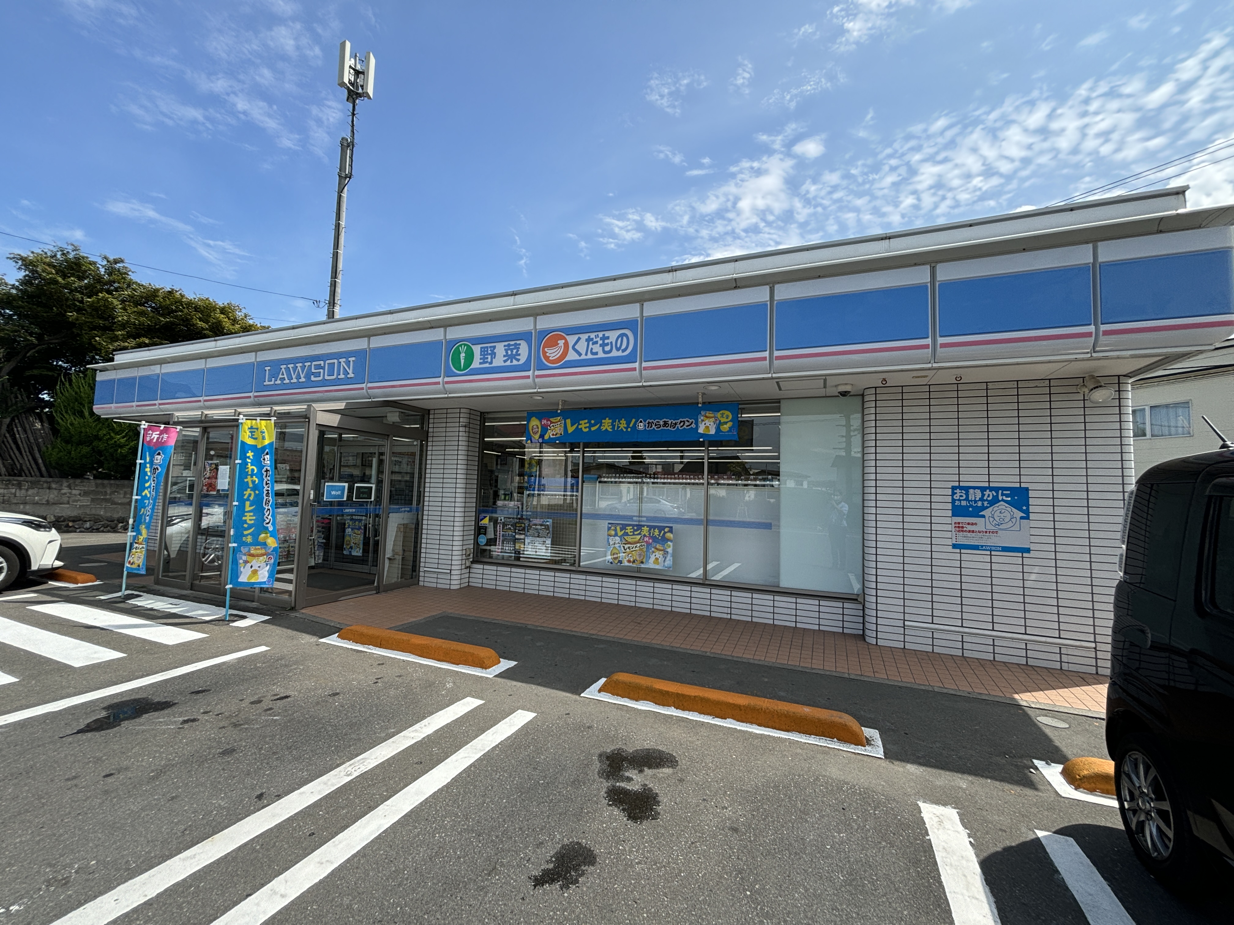 安田近野中古住宅（2棟） コンビニ