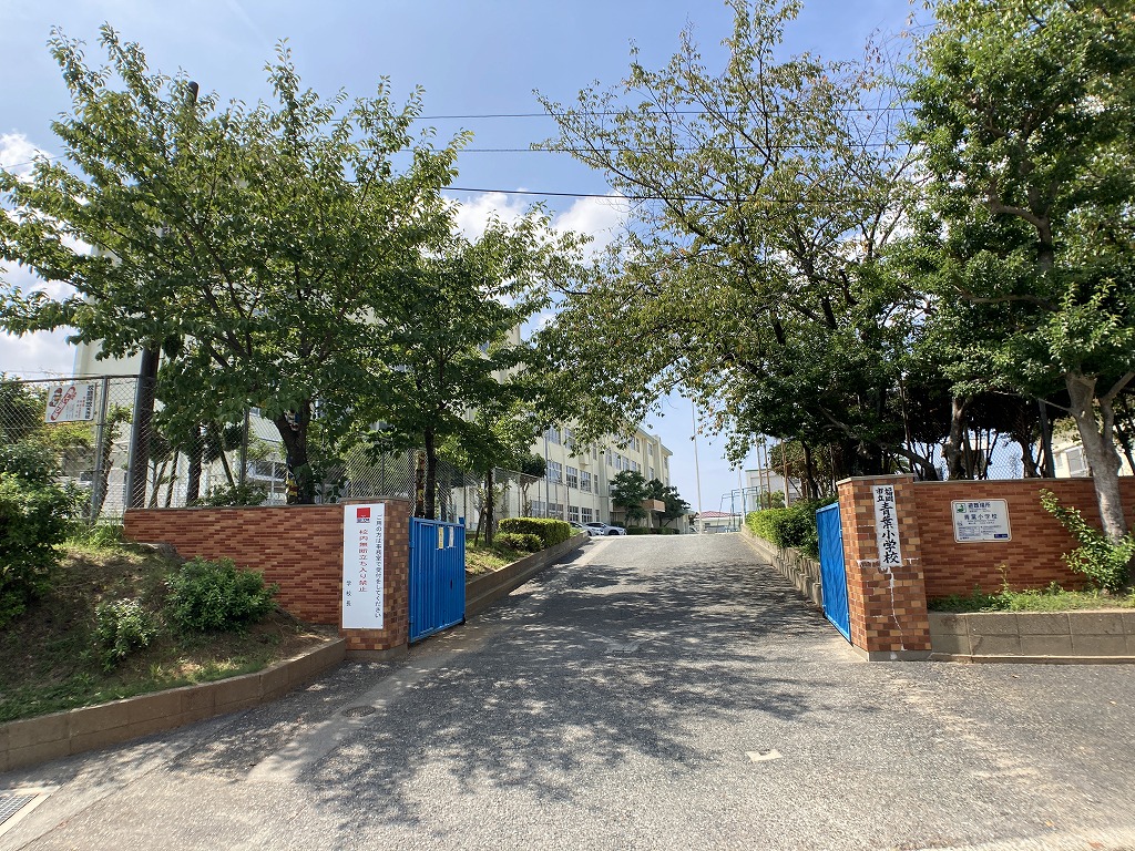 ロワールマンション青葉　EAST棟 小学校