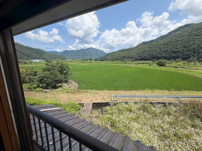 兵庫県養父市堀畑 その他