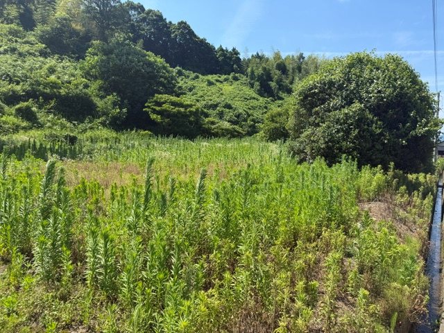 出石町大谷の土地 その他