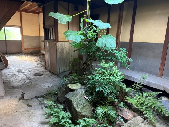豊岡市泉町戸建て その他