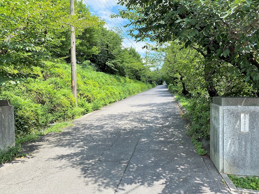 《クレイドルガーデン》大府市朝日町第3　新築分譲住宅　全5棟 中学校