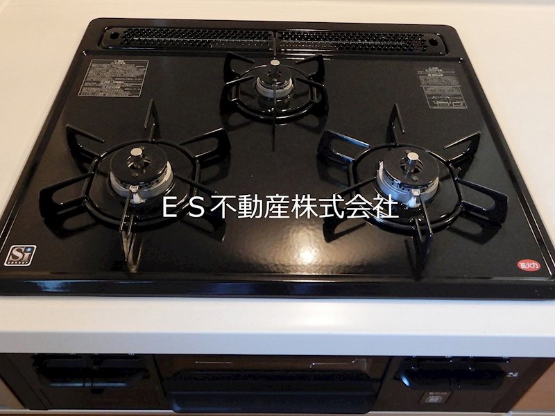 《リナージュ》知多市日長台01期　新築分譲　限定1棟 同仕様写真（キッチン）
