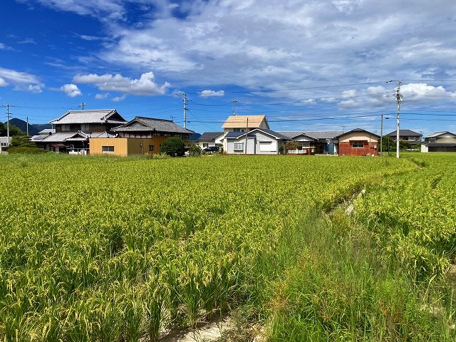 高松市川部町売り土地 その他