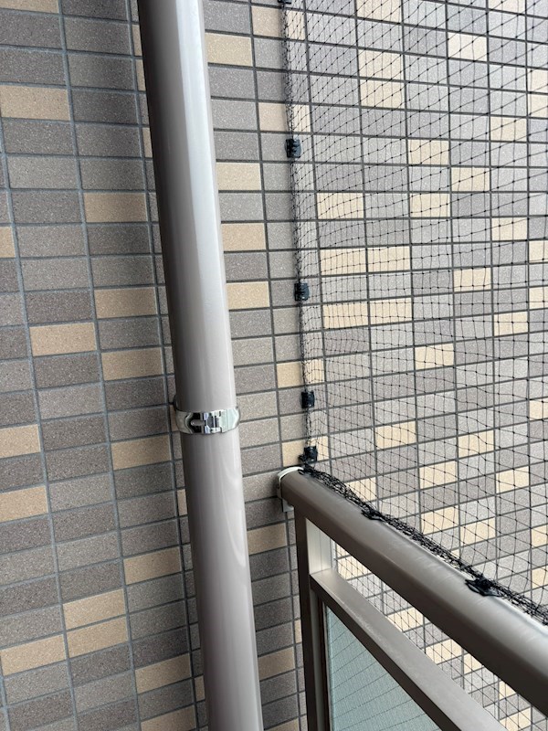 ロイヤルガーデン三条 現地写真（バルコニー）