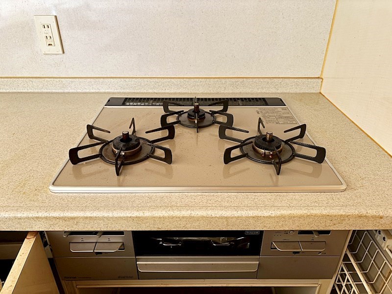 ロイヤルガーデン太田中央公園 その他