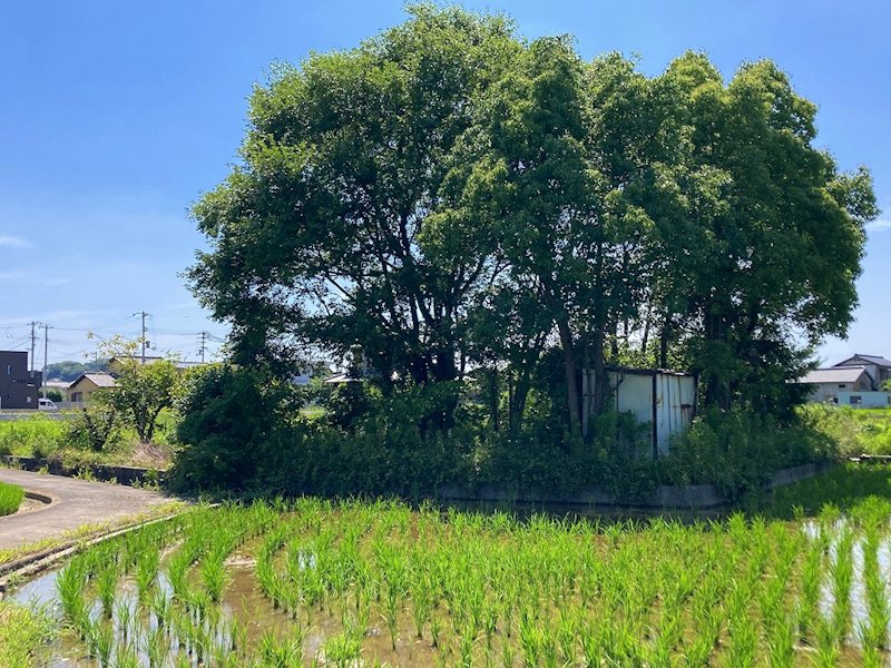 高松市多肥上町売り土地 その他