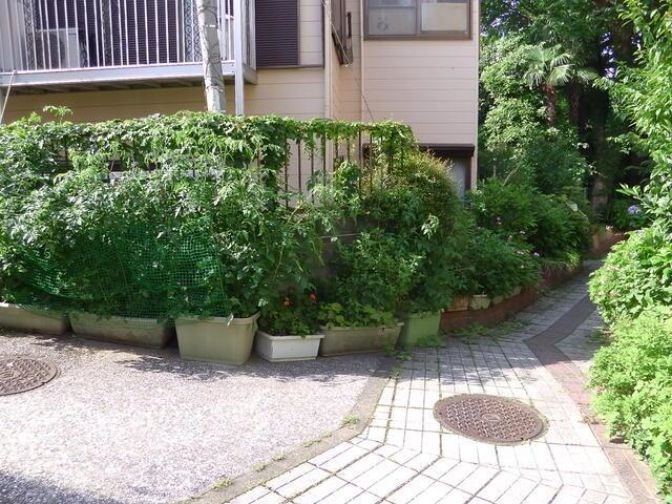 神奈川県横浜市磯子区杉田５丁目 その他