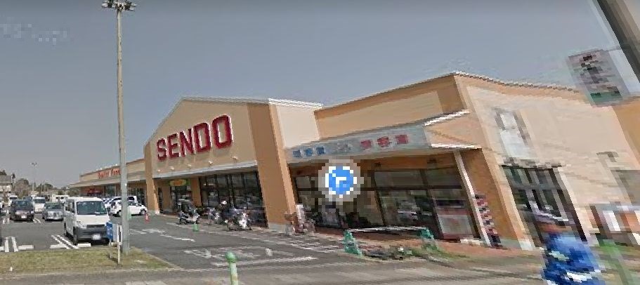 千葉県長生郡一宮町白山 その他