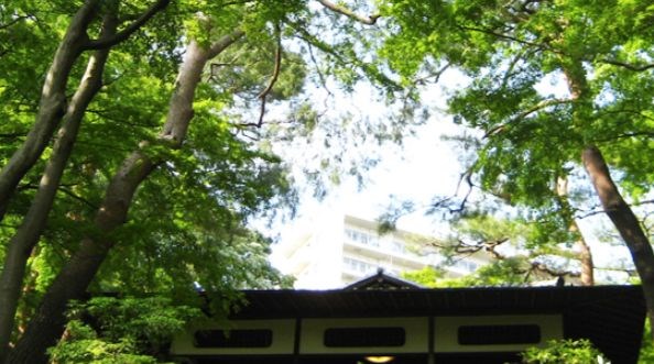 東京都国分寺市南町２丁目 その他