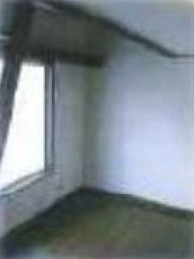 東京都杉並区下井草２丁目 内観写真（内装）