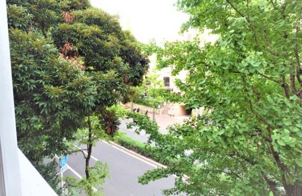東京都港区白金台５丁目 眺望写真