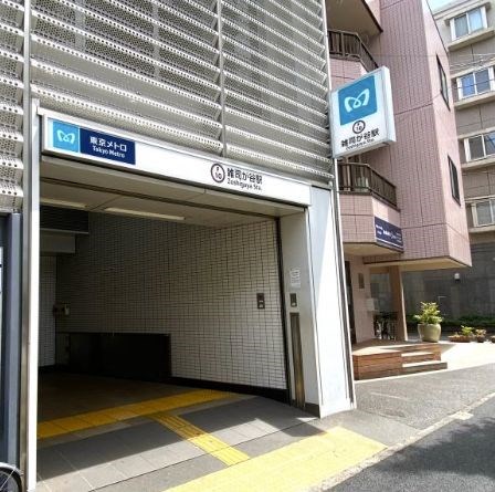 東京都文京区目白台１丁目 その他