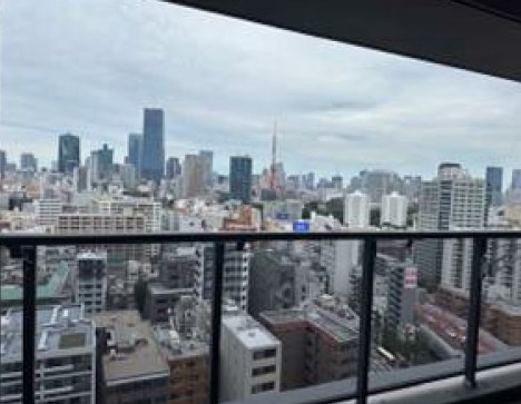 東京都港区白金１丁目 眺望写真