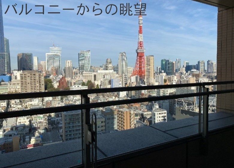東京都港区三田１丁目 眺望写真